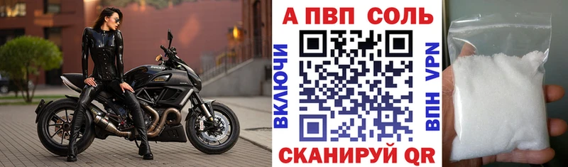 Альфа ПВП СК Ярославль