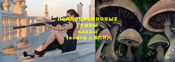 первитин Ладушкин