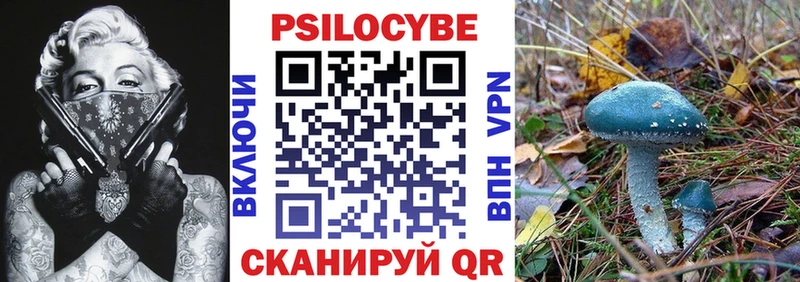 Купить где  Ярославль  Псилоцибиновые грибы мухоморы 